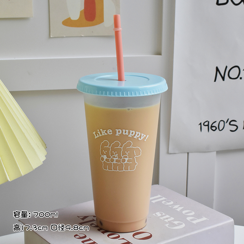 Kunststoff Wasser Flasche Nett – Coffee Tea Equipment Bewertung und Preis